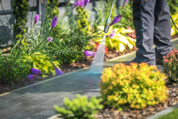 Best Pool Deck Cleaning  in Sophia, WV